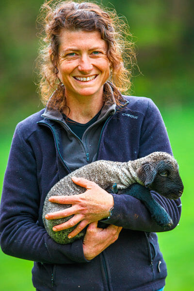 antoine duchene photographe pour agriculture d'élevage de moutons
