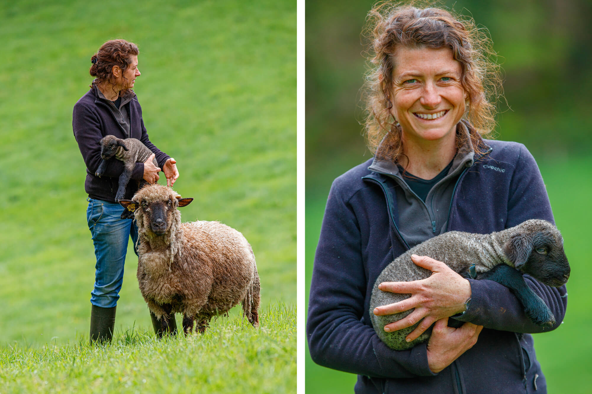 Shooting dans l'univers agricole d'un élevage de moutons en Bretagne, photo Antoine Duchene photographe industriel en Bretagne
